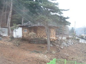 The tulli-shaped farm house outside my veranda window